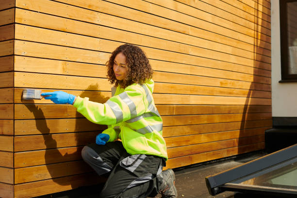 Affordable Siding Repair and Maintenance Services in South Euclid, OH